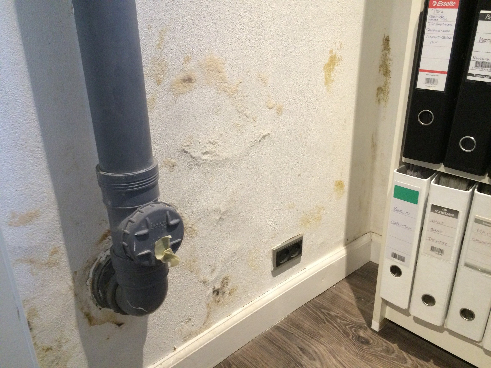 Fugt i kælder og salpeter udtræk