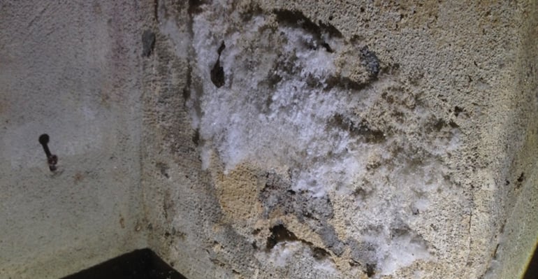 Fugt i kælder og salpeter udtræk