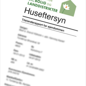 Tilstandsrapport røde skader